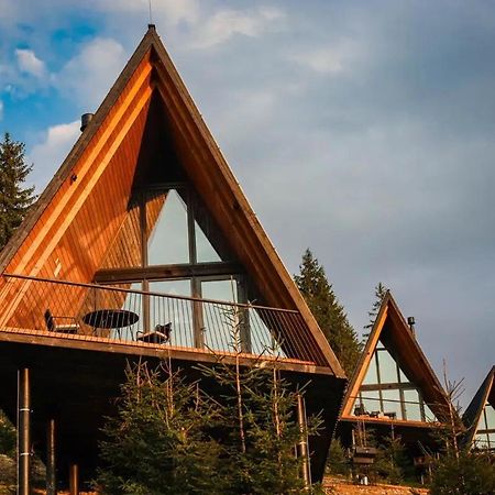 Уліс Ворохта Villa Krivopol'ye Exterior foto